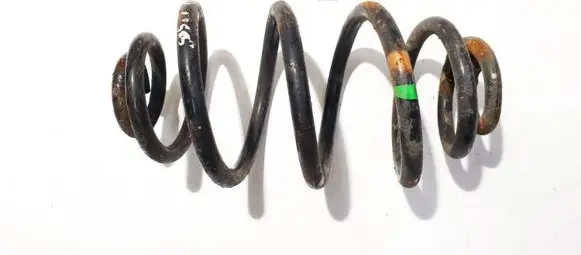 Volkswagen PASSAT B5 Rear coil spring