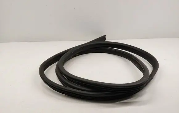 Renault Kangoo II Front door rubber seal 