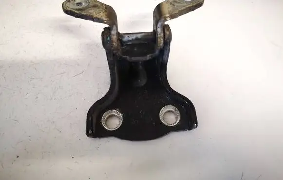 Rear door lower hinge
