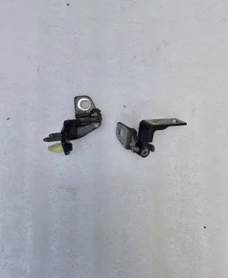 Ford Mustang Mach-E Rear door hinge set 