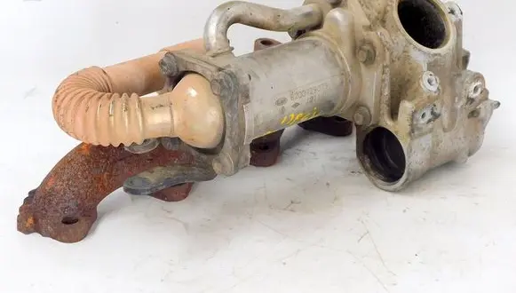 Renault Kangoo II EGR valve cooler 8200729079 193673