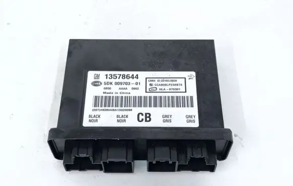 Opel Ampera Keyless (KESSY) go control unit/module 13578644 5DK00970301