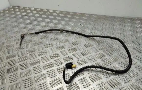 Mercedes-Benz A W176 Exhaust gas temperature sensor A0009050701