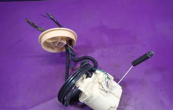 Ford Focus C-MAX In-tank fuel pump