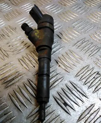 Citroen C5 Fuel injector 0445110076 9641742880