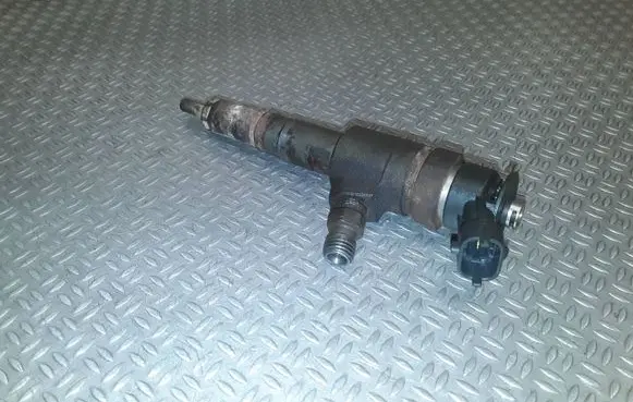 Citroen Nemo Fuel injector 0445110252