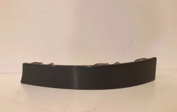 Rear/tail light trim molding