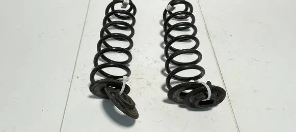 Rear coil spring