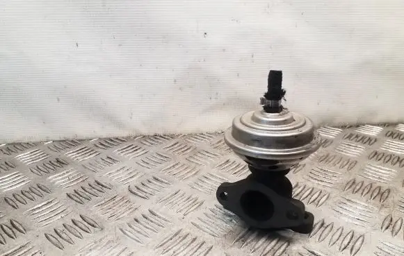 Volkswagen PASSAT B5 EGR valve 028131501E