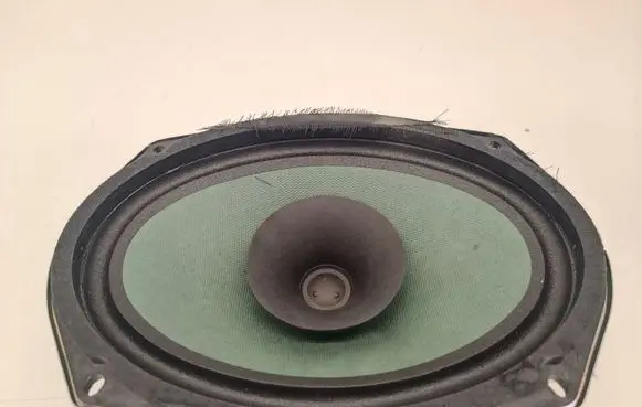 Chrysler Pacifica Front door speaker 05091019AB