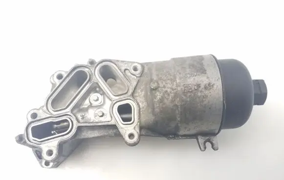 Peugeot 207 Oil filter mounting bracket 6610786