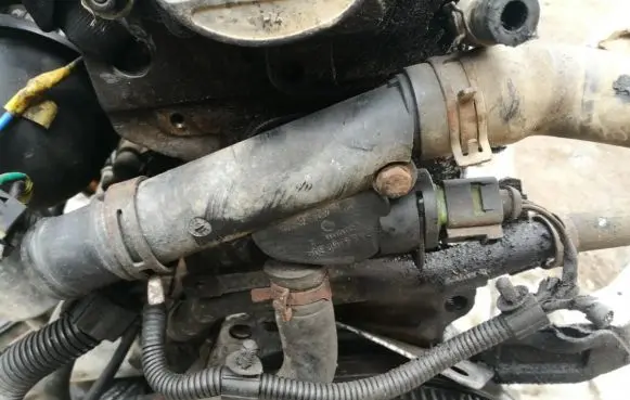 Volkswagen Golf IV Engine coolant pipe/hose 038121133