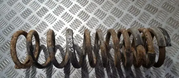 Ford Focus Rear coil spring
