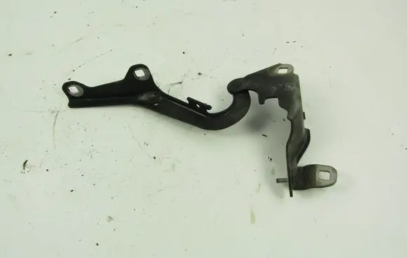 Renault Laguna III Engine bonnet/hood hinges 654000001R