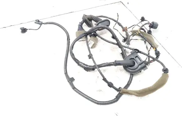 Renault Koleos I Front door wiring loom 24124JY41C