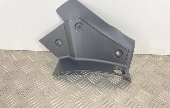 Rear/tail light trim molding