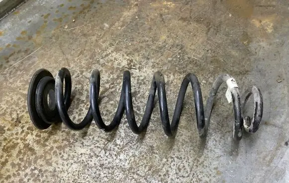 Rear coil spring