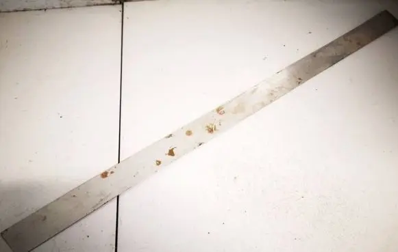 Mini One - Cooper R50 - 53 Front sill trim cover