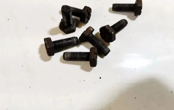 Renault Scenic I Nuts/bolts 