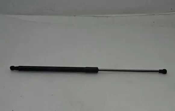 Tailgate strut