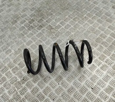 Tesla Model 3 Rear coil spring 104447291E