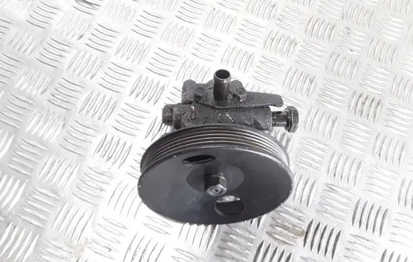 Hyundai Santa Fe Power steering pump