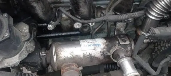 EGR valve cooler