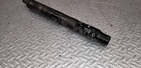 Renault Clio III Fuel injector EJBR05102D 8200815416