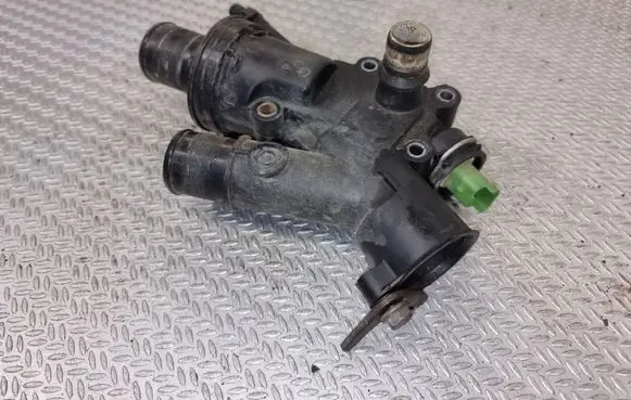 Thermostat/thermostat housing