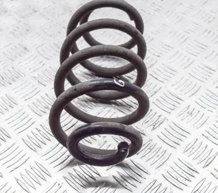 Renault Zoe Rear coil spring