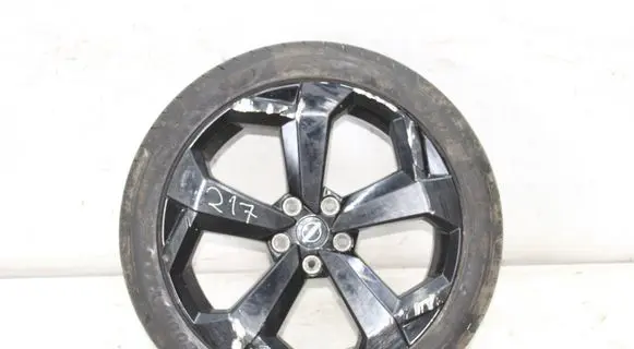Nissan Juke II F16 R19 alloy rim 22545R19