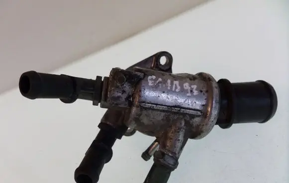 Thermostat/thermostat housing