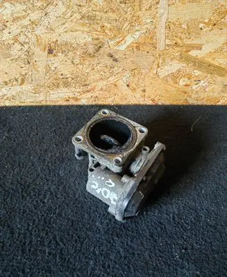 KIA Sorento Throttle valve 351002F100