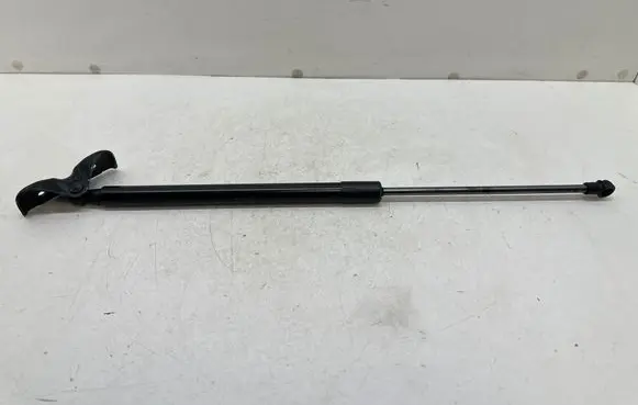 Renault Scenic IV - Grand scenic IV Tailgate strut 904502860R