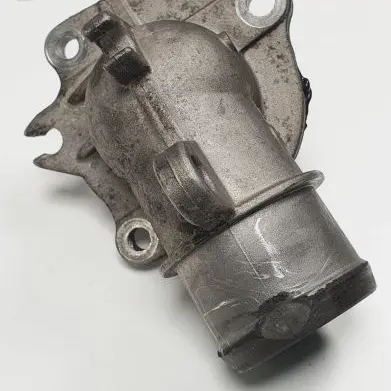 Thermostat/thermostat housing