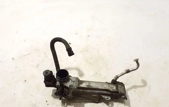 EGR valve