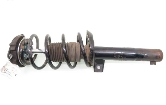 Volkswagen Jetta V Front shock absorber with coil spring 454720