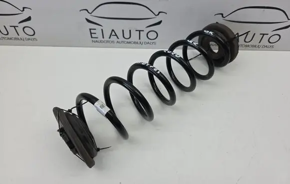 Rear coil spring