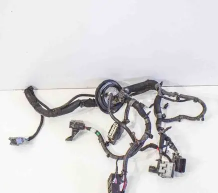 Chevrolet Volt I Other wiring loom 320455ASM