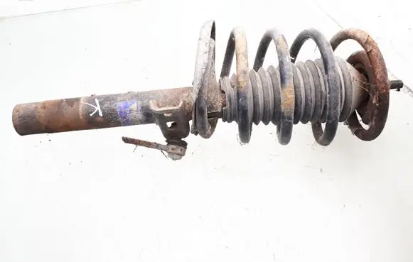 Ford Galaxy Front shock absorber with coil spring