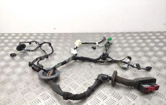 Front door wiring loom