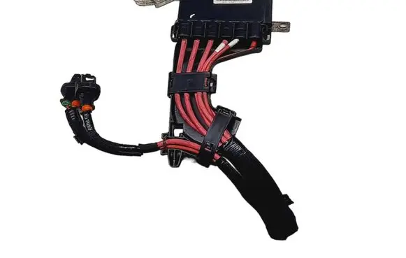 Renault Scenic III - Grand scenic III Positive wiring loom 243170005R 0300890