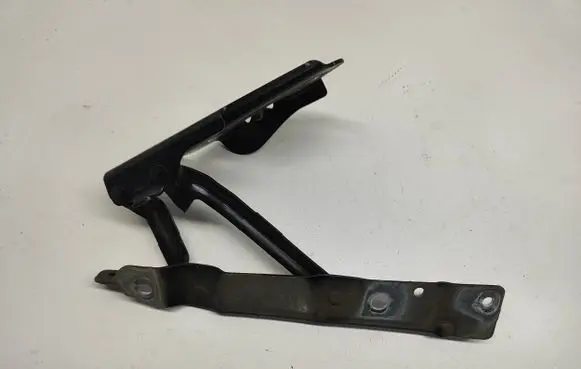 Tailgate/trunk/boot hinge