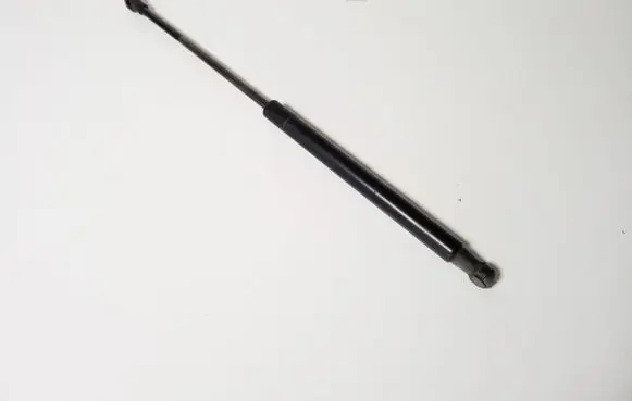 Tailgate strut