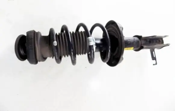 Opel Zafira C Front shock absorber with coil spring