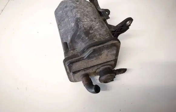 Active carbon filter fuel vapour canister