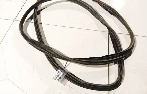 Renault Scenic II - Grand scenic II Rubber seal front coupe door 