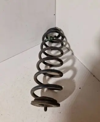 Rear coil spring