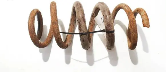 Toyota RAV 4 (XA30) Rear coil spring
