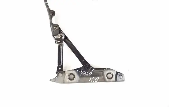 Infiniti Q70 Y51 Tailgate/trunk/boot hinge 844011MA0A